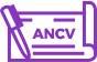 picto_paiement-ancv